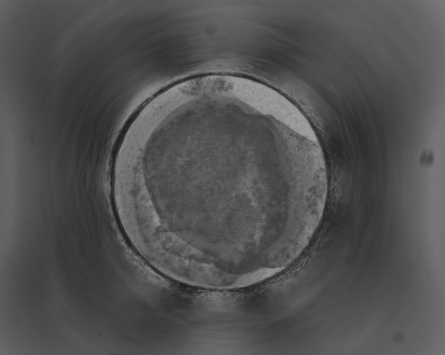 X0000095520950200801041220