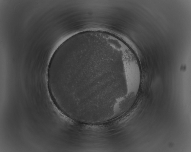 X0000095520951200801041220