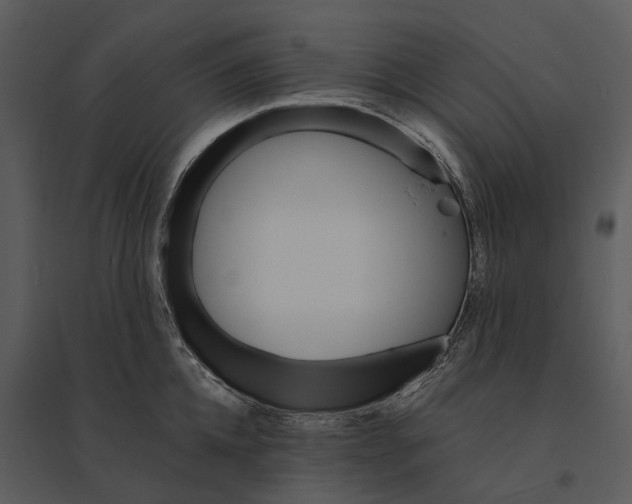 X0000095520952200801041220