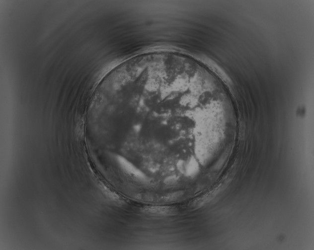 X0000095520953200801041220