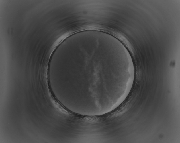 X0000095520954200801041220