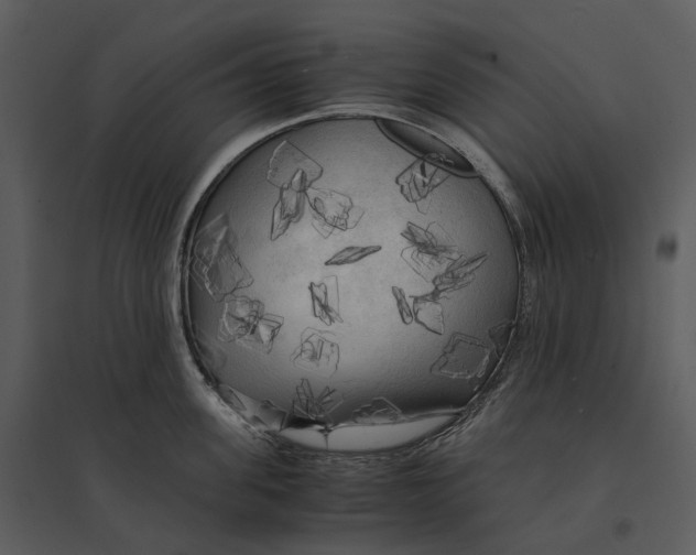 X0000095520955200801041220