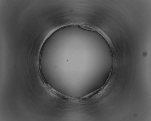 X0000095520956200801041220