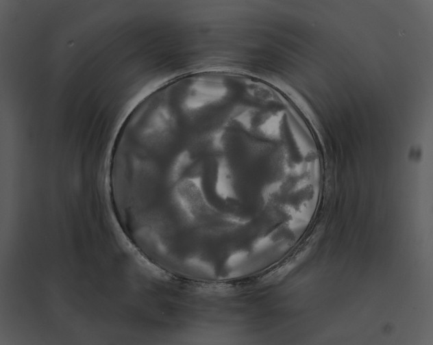 X0000095520957200801041220