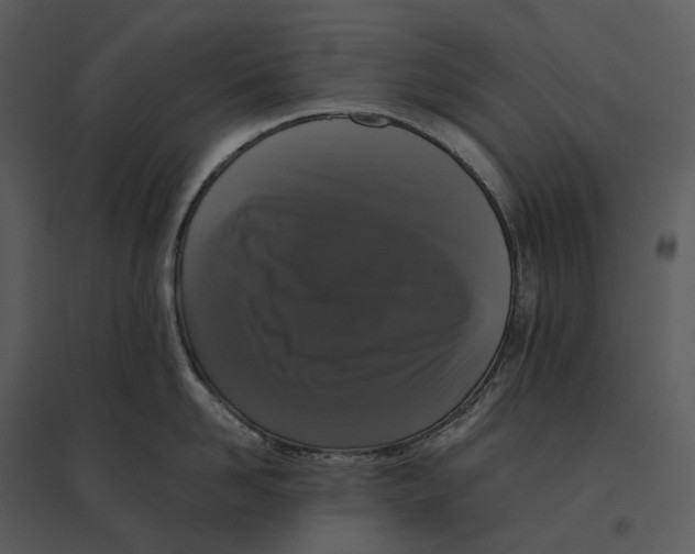 X0000095520958200801041220