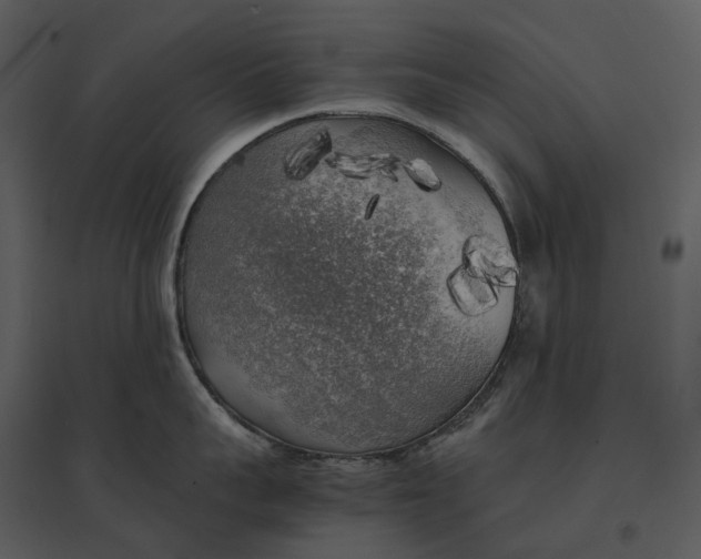 X0000095520959200801041220