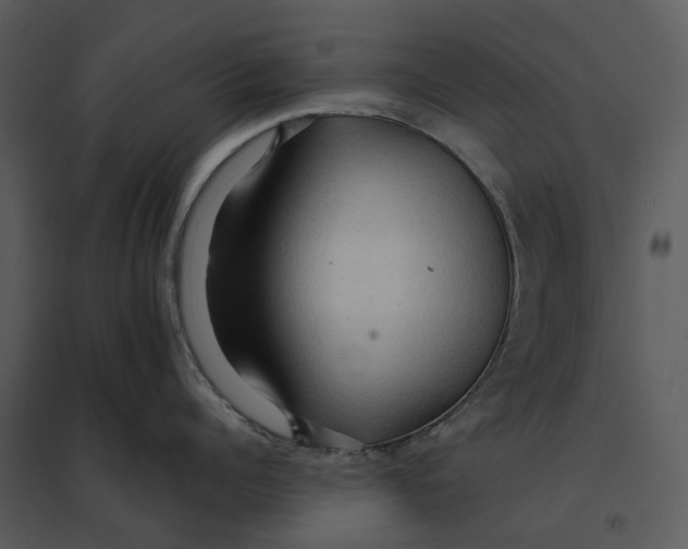 X0000095520960200801041220