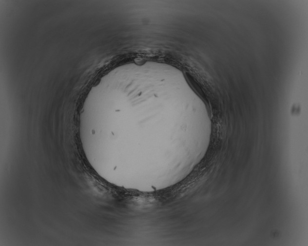 X0000095520961200801041219