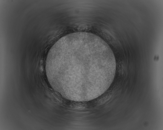 X0000095520962200801041219