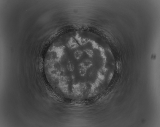 X0000095520963200801041219