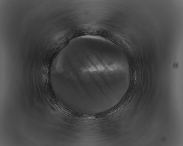 X0000095520964200801041219