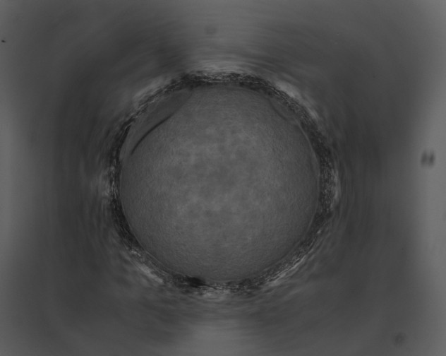 X0000095520965200801041219