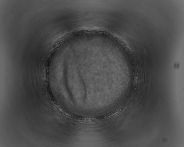 X0000095520966200801041219