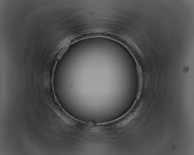 X0000095520969200801041219