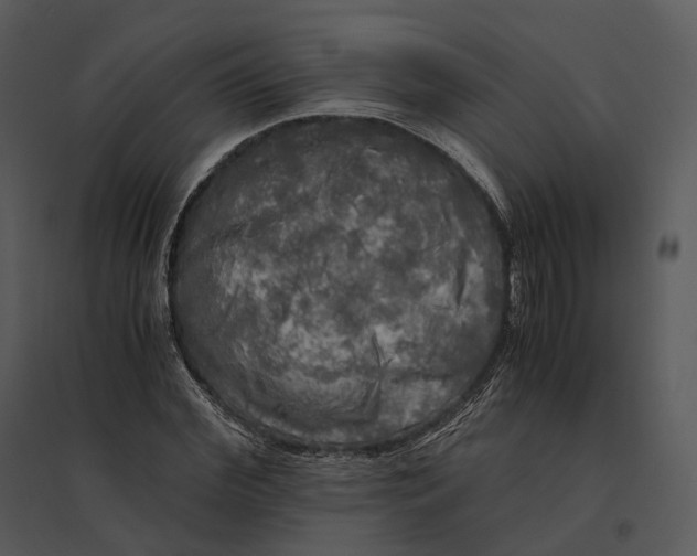 X0000095520972200801041219