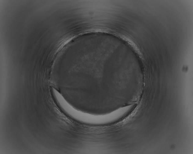 X0000095520977200801041219