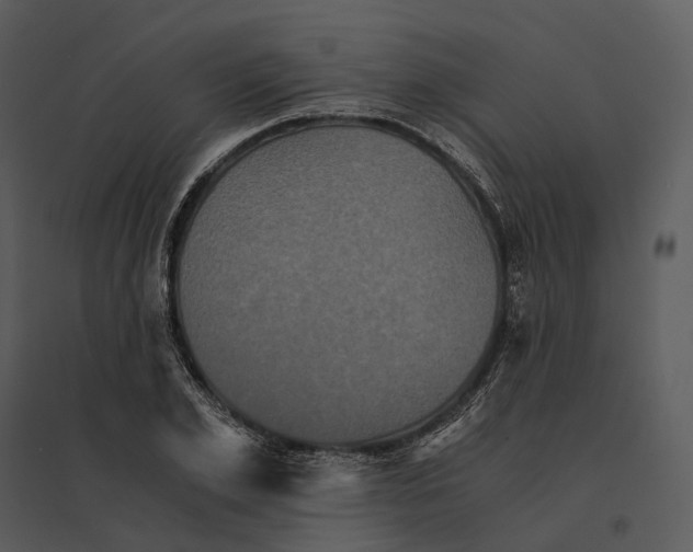 X0000095520981200801041219