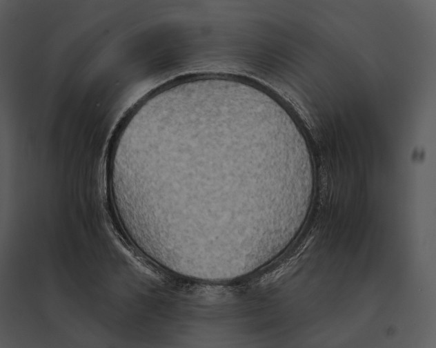 X0000095520982200801041219