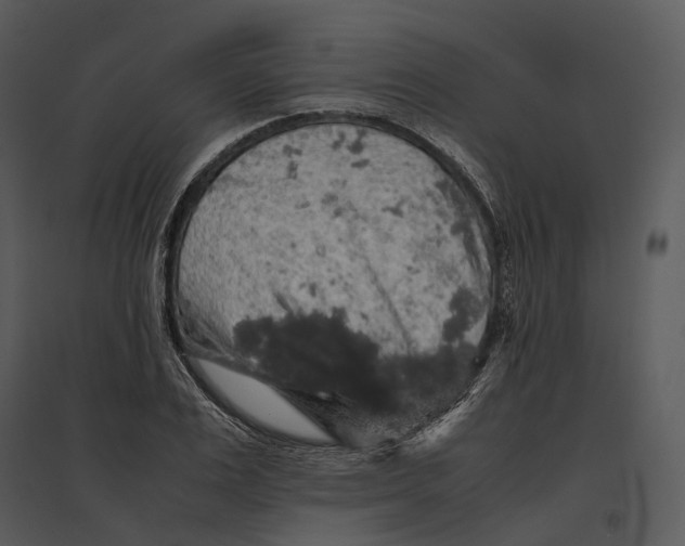 X0000095520983200801041219