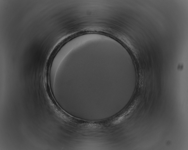 X0000095520984200801041219