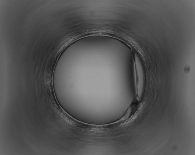 X0000095520985200801041219