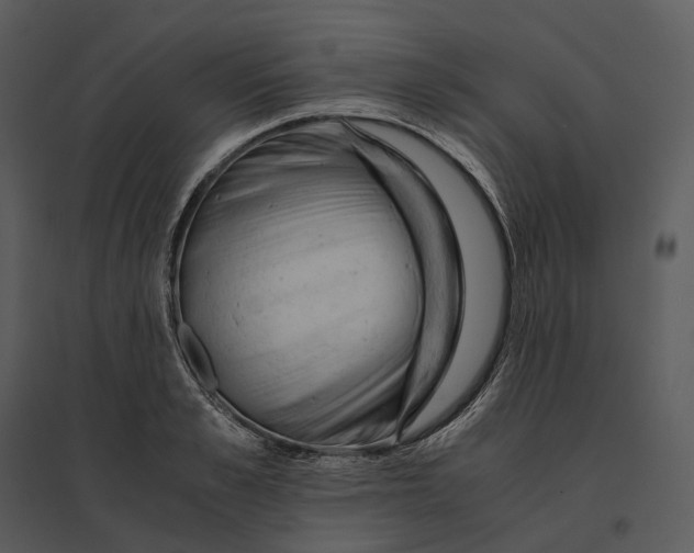 X0000095520989200801041219