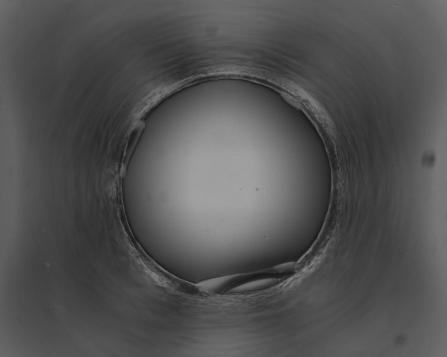 X0000095520993200801041219