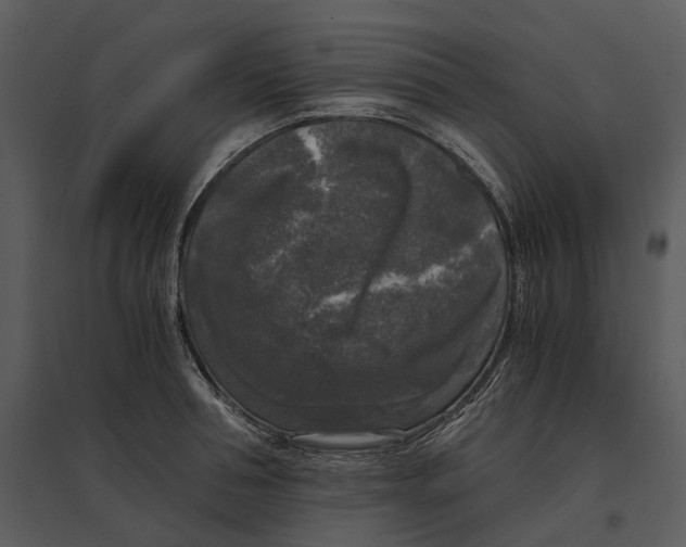 X0000095520994200801041219