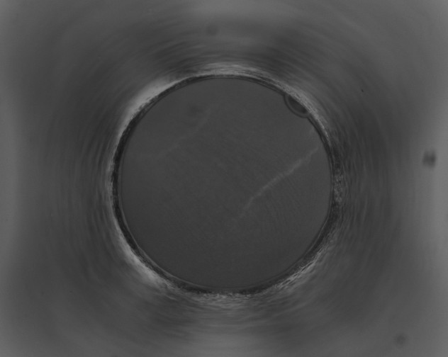 X0000095520995200801041219