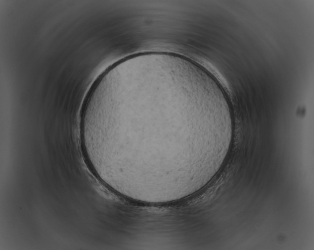 X0000095520996200801041219