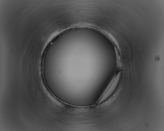 X0000095520997200801041219