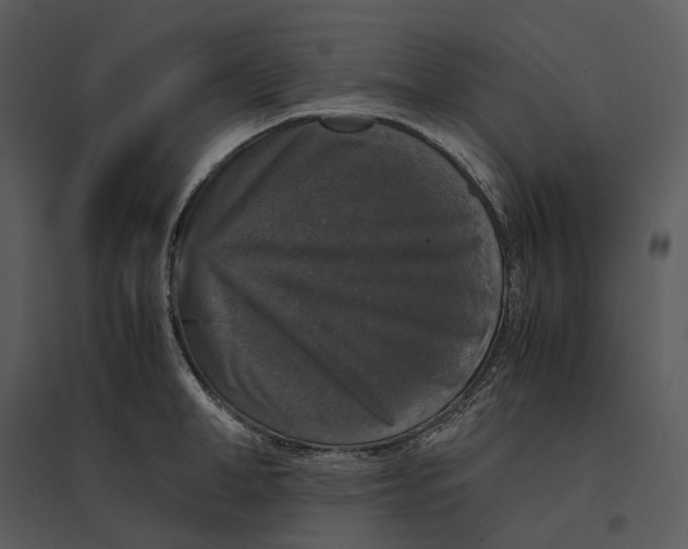 X0000095520998200801041219