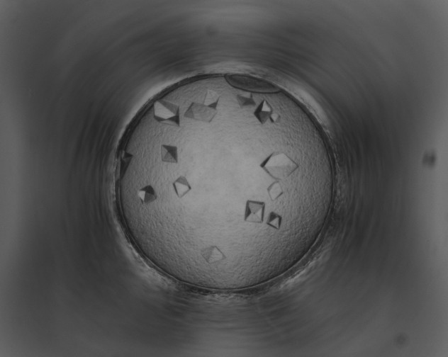 X0000095521000200801041219