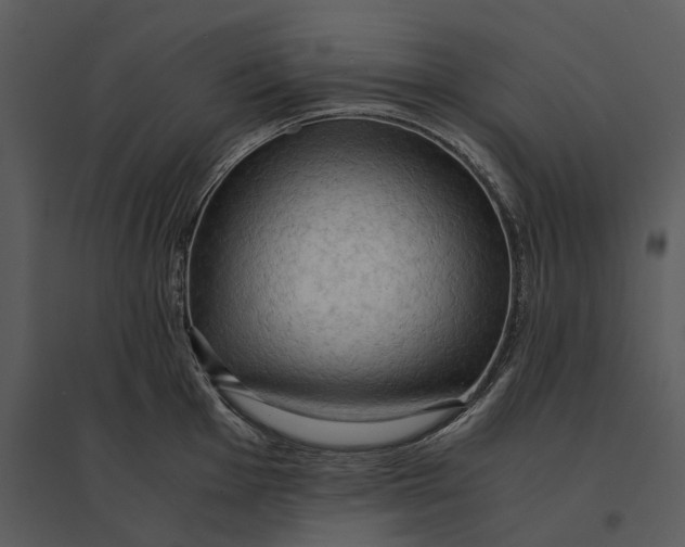 X0000095521001200801041219