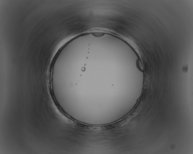 X0000095521003200801041219