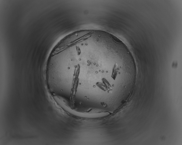 X0000095521008200801041219