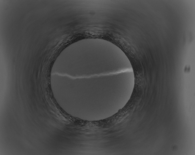 X0000095521009200801041218