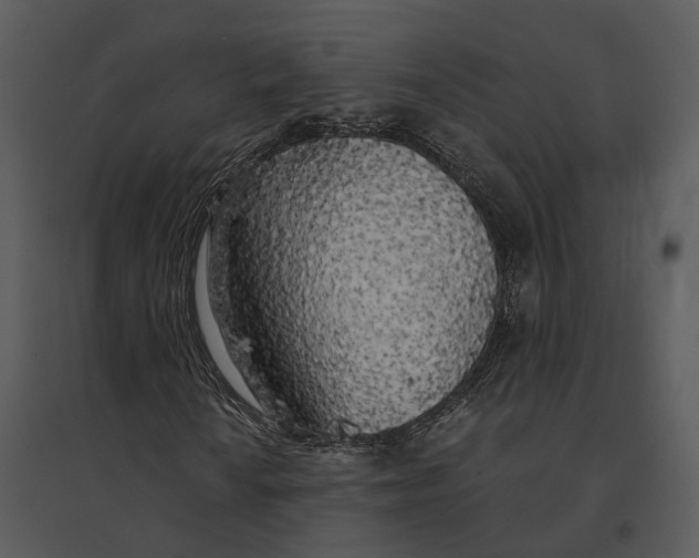 X0000095521010200801041218