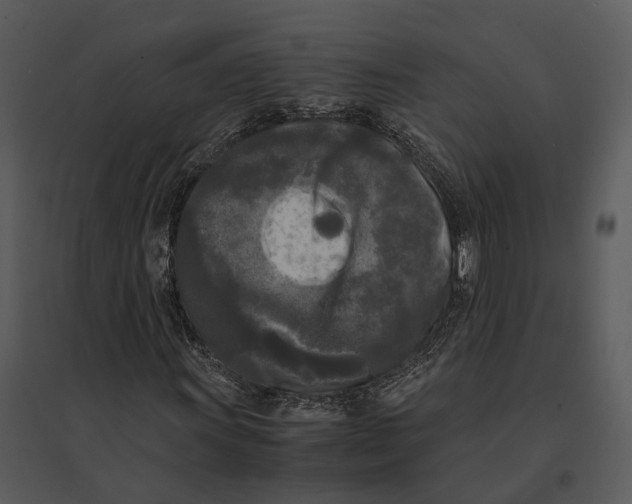 X0000095521011200801041218