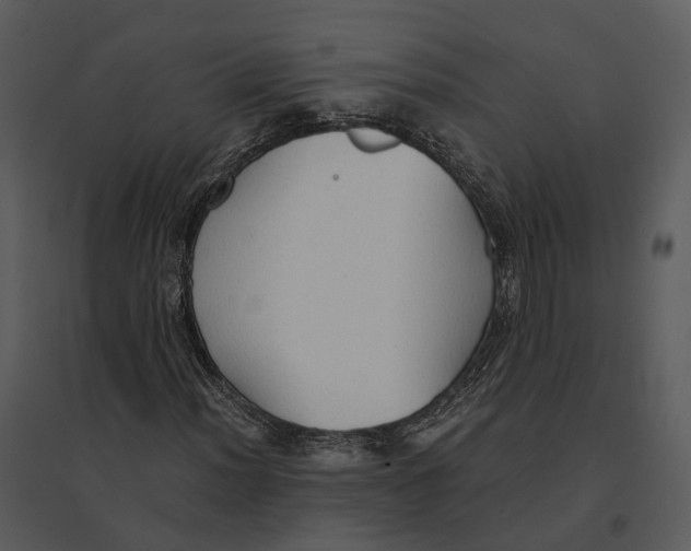 X0000095521012200801041218