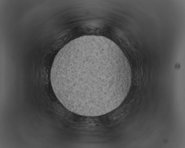 X0000095521013200801041218