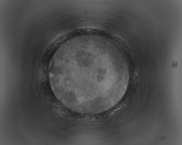 X0000095521014200801041218