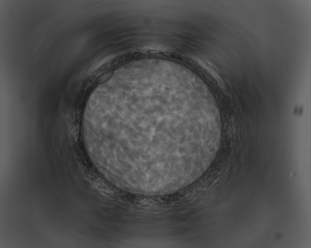 X0000095521015200801041218