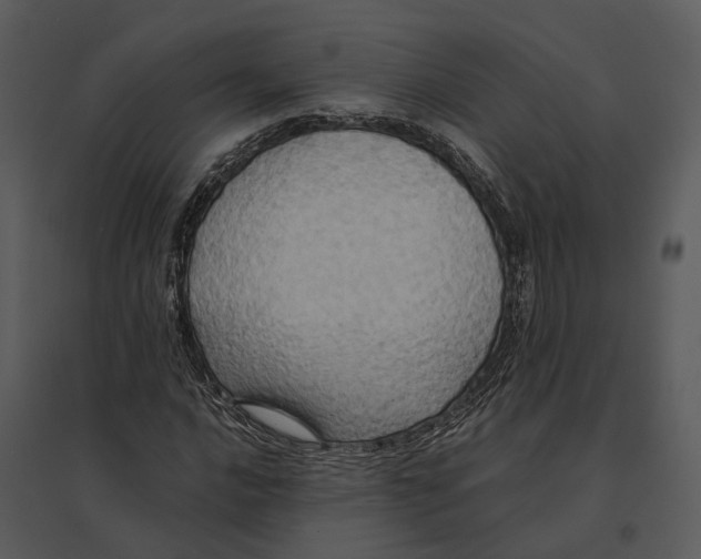 X0000095521016200801041218