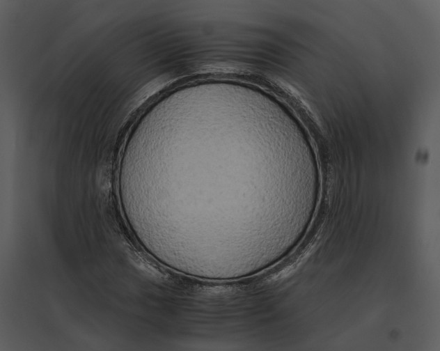 X0000095521017200801041218