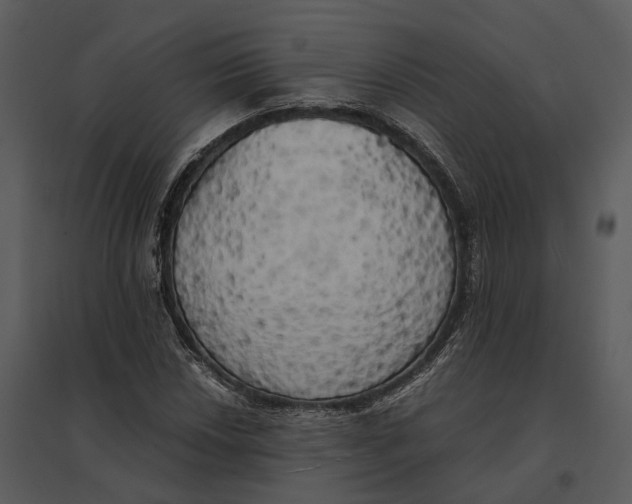 X0000095521018200801041218