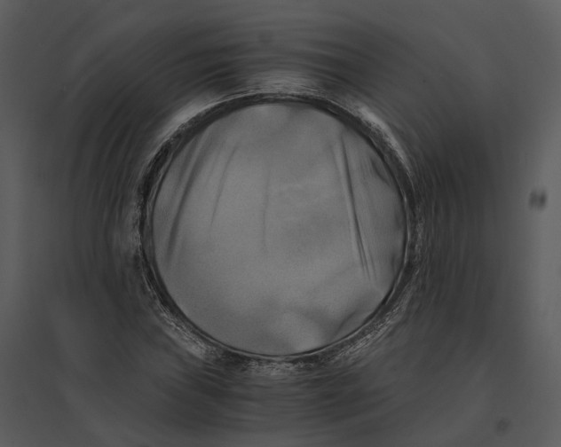 X0000095521019200801041218