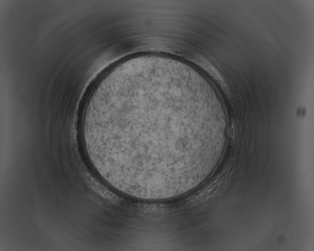 X0000095521020200801041218