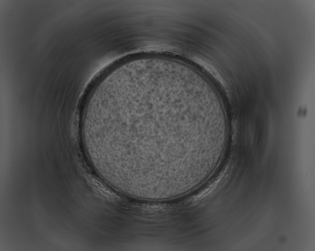 X0000095521021200801041218