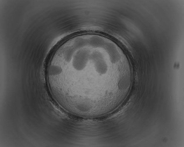 X0000095521022200801041218